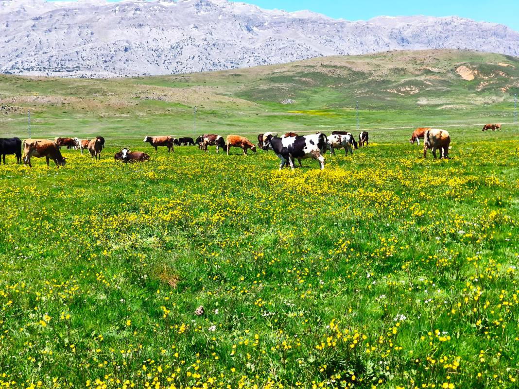 Konya’nın cennet köşesi baharı böyle karşıladı 14